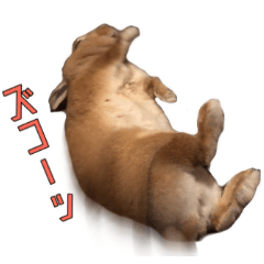 [LINEスタンプ] 変顔うさぎのおイモちゃん