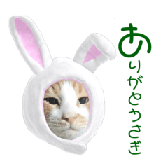 [LINEスタンプ] ぼく、そら！2