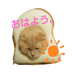 [LINEスタンプ] こゆぱと