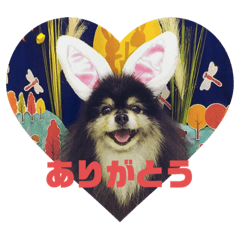[LINEスタンプ] ポメラニアンのジュンおじさん