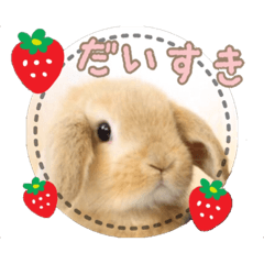 [LINEスタンプ] まめたろうスタンプ4