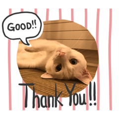 [LINEスタンプ] O.R_20200115221436