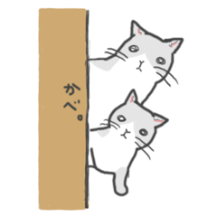 [LINEスタンプ] 汎用性の高い猫の画像（メイン）