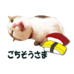 [LINEスタンプ] ゆずねこ3