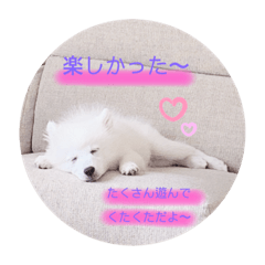 [LINEスタンプ] ぽんぷくん！！！！