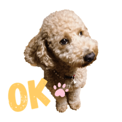 [LINEスタンプ] ⦿poudre stamp⦿