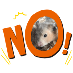 [LINEスタンプ] ゴールデンハムスター キンクマ
