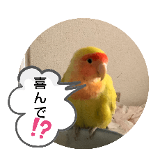 [LINEスタンプ] kawafamily番外編