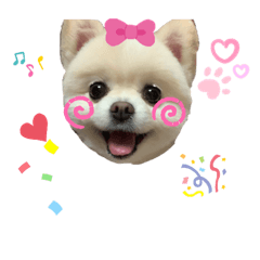 [LINEスタンプ] みんなのモモりん