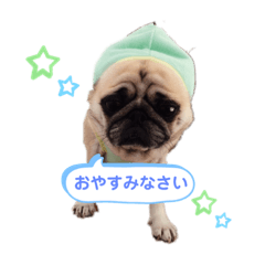 [LINEスタンプ] パグのぱんく