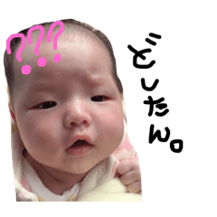 [LINEスタンプ] かこ スタンプ