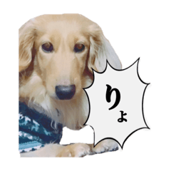 [LINEスタンプ] サンとアユ