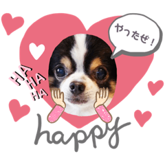 [LINEスタンプ] チワワのりりさまだぜ3