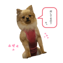 [LINEスタンプ] あんこA
