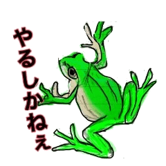 [LINEスタンプ] カエルだらけ
