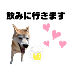 [LINEスタンプ] sapi my dog2