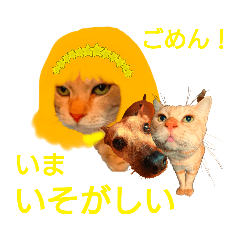 [LINEスタンプ] ミーさんとマーさん 5