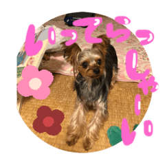 [LINEスタンプ] バーディちゃん