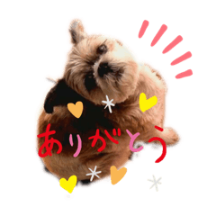 [LINEスタンプ] ま り ん ち ゃ ん