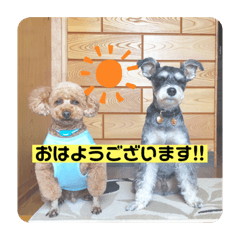 [LINEスタンプ] なすびすたんぷ①