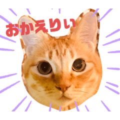 [LINEスタンプ] サスケとごまめ②