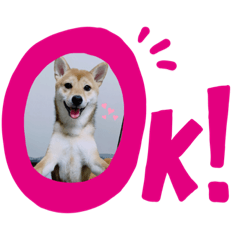 [LINEスタンプ] ちくわだワン