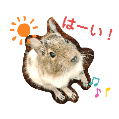 [LINEスタンプ] デグーのつくね