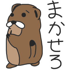 [LINEスタンプ] こまリチャのYES！＆ NO！