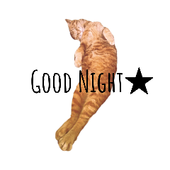 [LINEスタンプ] 我が家のにゃんこズmycats②