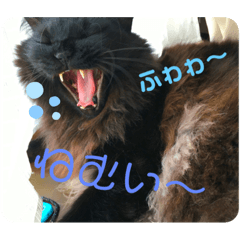 [LINEスタンプ] かわよいねこちゃん
