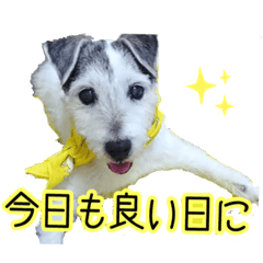 [LINEスタンプ] さくらといつも一緒