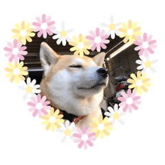 [LINEスタンプ] じんちゃんちのななちゃん。