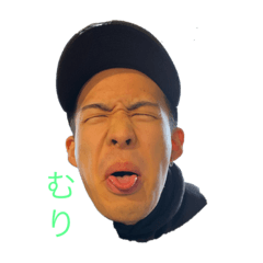[LINEスタンプ] こたロバスタンプ
