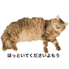 [LINEスタンプ] 全力でじんじゃーをスタンプにしようとした