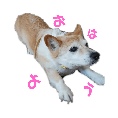 [LINEスタンプ] チョロ家