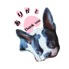 [LINEスタンプ] ぷに☆