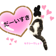 [LINEスタンプ] エキゾチックショートヘアのシャーロット