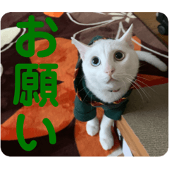 [LINEスタンプ] わさびさんⅤ