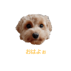 [LINEスタンプ] Cocoa！