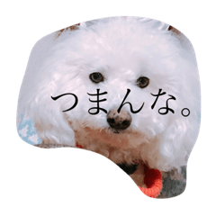 [LINEスタンプ] 人間にキバしか向いてない