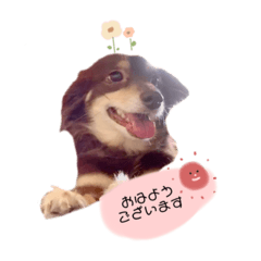 [LINEスタンプ] エースくん.