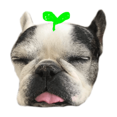[LINEスタンプ] おこず