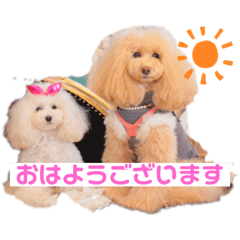 [LINEスタンプ] のあとおはなの挨拶