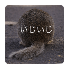 [LINEスタンプ] yoshiスタ
