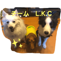 [LINEスタンプ] Team LKC第二弾