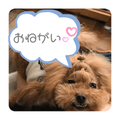 [LINEスタンプ] 長男のうーたん