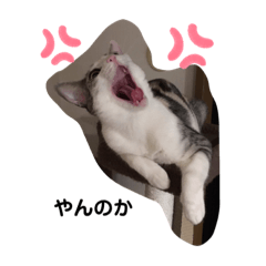 [LINEスタンプ] みけねこもなか
