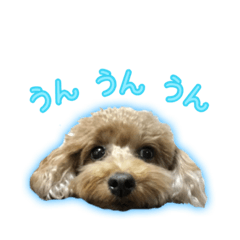 [LINEスタンプ] ペコくんの日常 2