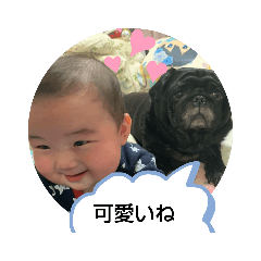 [LINEスタンプ] ぼくは、そうちゃん家族編