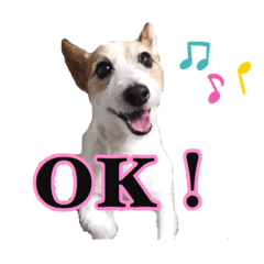 [LINEスタンプ] こはると一緒